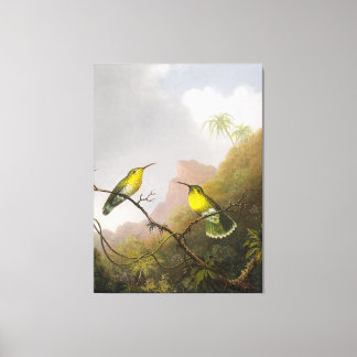 HEADE Two Humming Birds Copper-tailed Amazili - Canvas Print