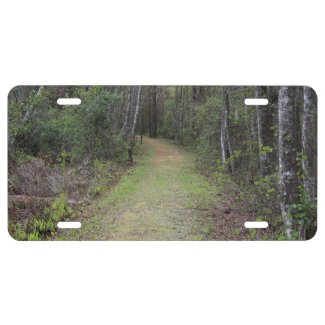 Heading Down the Trail