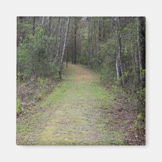 Heading Down the Trail