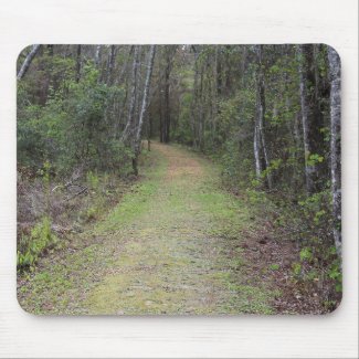 Heading Down The Trail