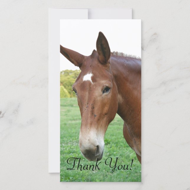 Headshot of a Rather Refined Mule Thank You Card (Front)