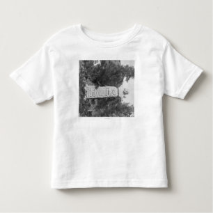 Headstone of Wild Bill Hickock's Grave Photograp Toddler T-shirt