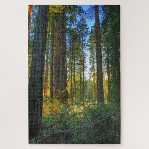 Headwaters Forest Reserve Inyo California Jigsaw Puzzle