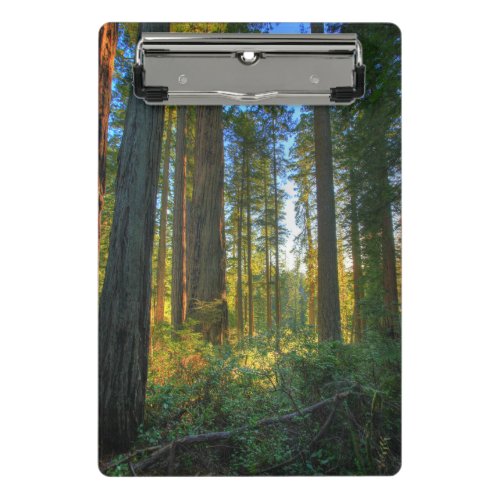 Headwaters Forest Reserve Inyo California Mini Clipboard