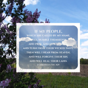Heal their Land, If My People, 2 Chronicles 7:14 Magnet