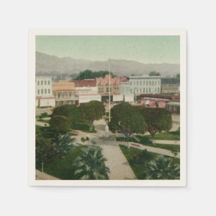 Healdsburg CA Plaza Postcard Napkins
