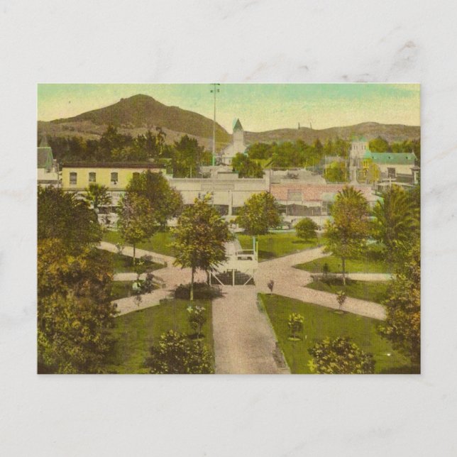 Healdsburg CA Vintage Postcard (Front)