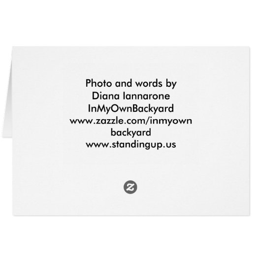 healing (Back Horizontal)