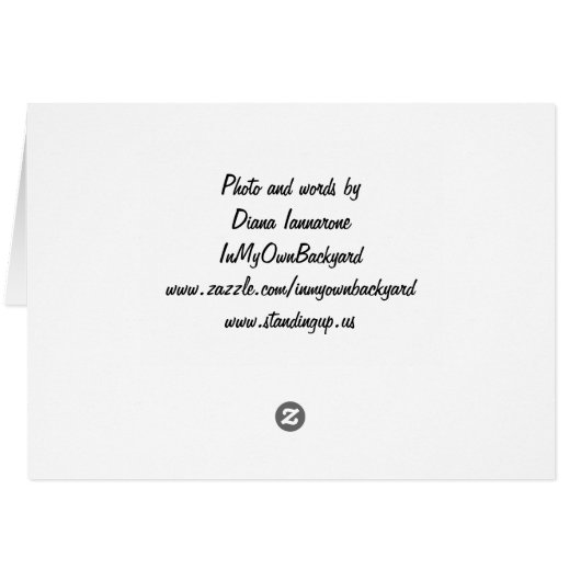 Healing Cards (Back Horizontal)