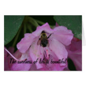 Healing Cards (Front Horizontal)