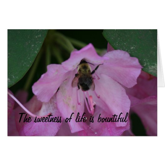 Healing Cards (Front Horizontal)