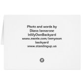 Healing Cards (Back Horizontal)