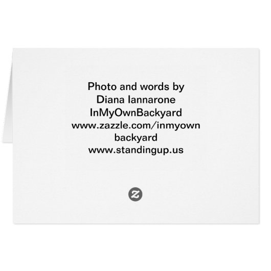 Healing Cards (Back Horizontal)