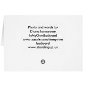 Healing Cards (Back Horizontal)