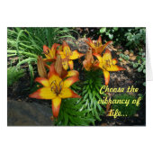 Healing Cards (Front Horizontal)