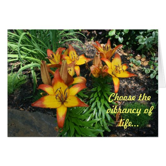 Healing Cards (Front Horizontal)