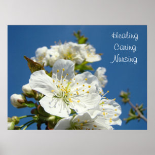 Healing Caring Nursing posters Blue Sky Blossoms