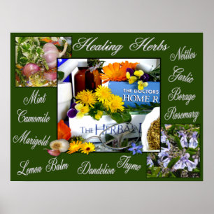 HEALING HERBS ~ Poster