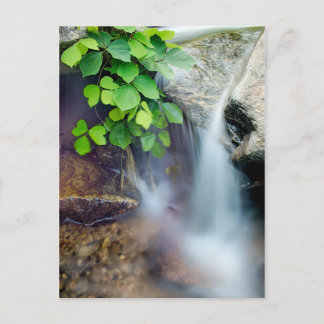 healing nature water stream postcard