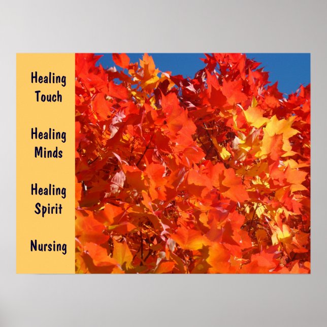 Healing Touch Healing Minds Healing Spirit Nursing Poster (Front)