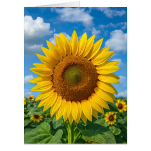 HEALING VIBES SUNFLOWER BIG GREETING CARD