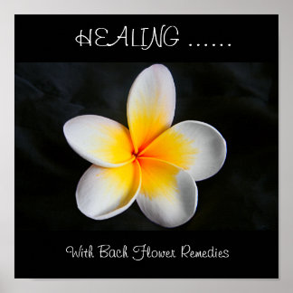 Healing with bach flower remedies poster