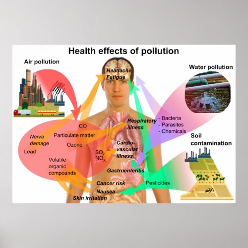 Health Effects of Pollution on the Human Body Poster