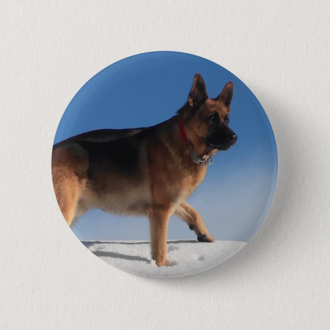 Healthy And Happy German Shepherd Dog Pinback Button (Front)