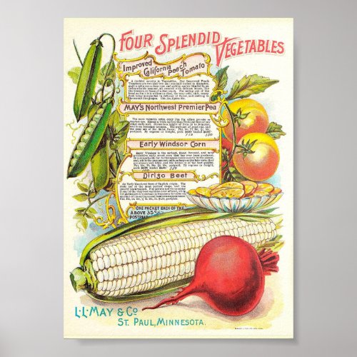 Healthy Colorful Veggies Vintage Seed Packet Poster