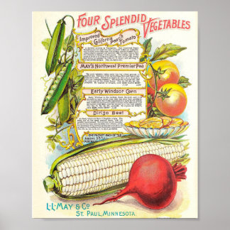 Healthy Colourful Veggies Vintage Seed Packet Poster