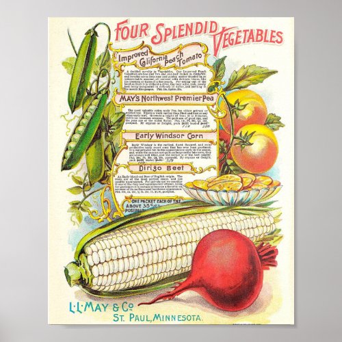 Healthy Colourful Veggies Vintage Seed Packet Poster