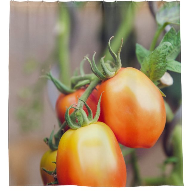 Healthy Food Shower Curtain (Front)