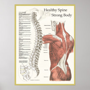 Healthy Spine, Strong Body Chiropractic Poster