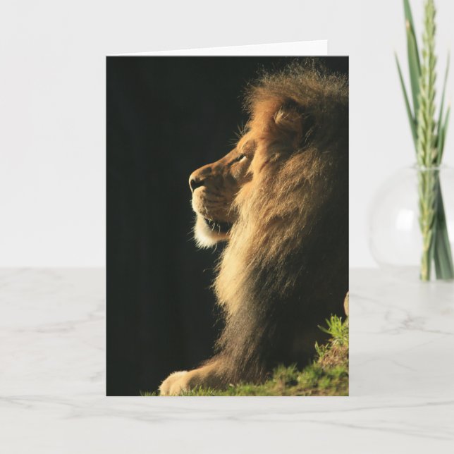 Hear Comes the Sun Card (Front)