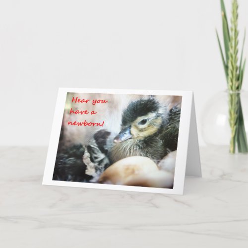 HEAR YOU HAVE A NEWBORN_CUTE DUCKLING CARD