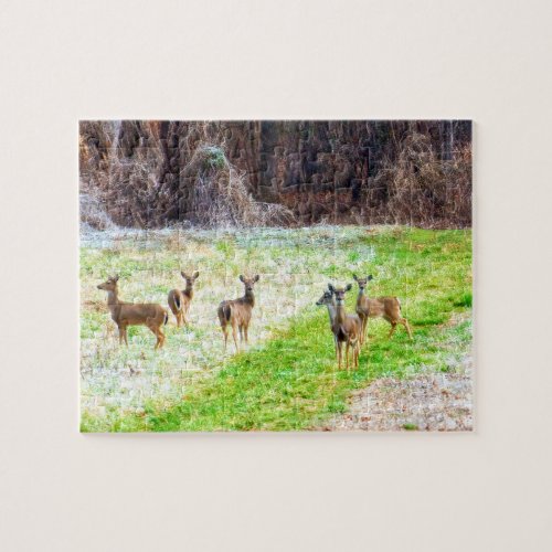 Heard of Deer in the Frost Nature Photography Jigsaw Puzzle