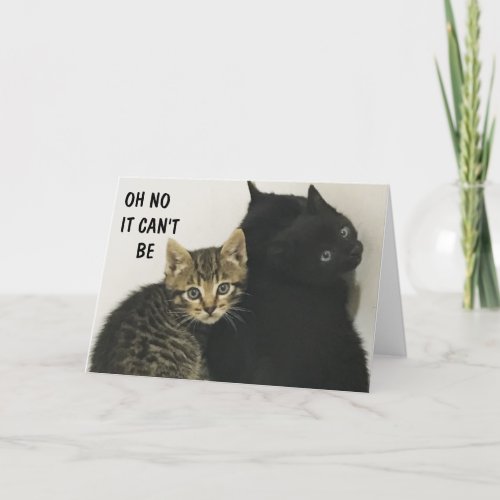 HEARD YOU ARE TURNING 60 MEOW CARD
