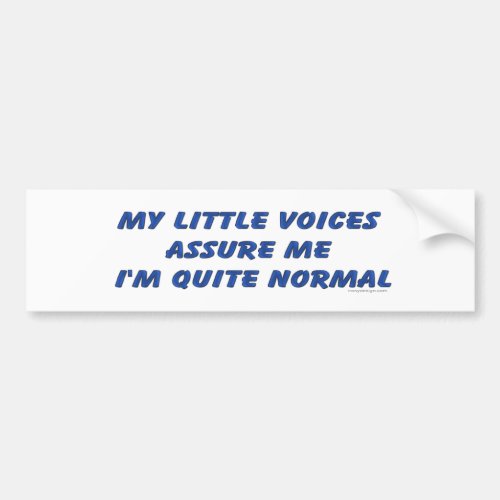 Hearing Voices Humor Bumper Sticker