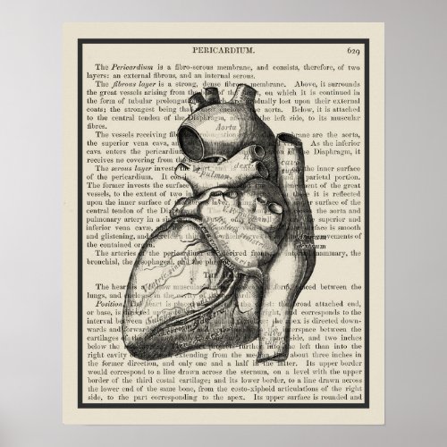 Heart Anatomy Book Art Print 1