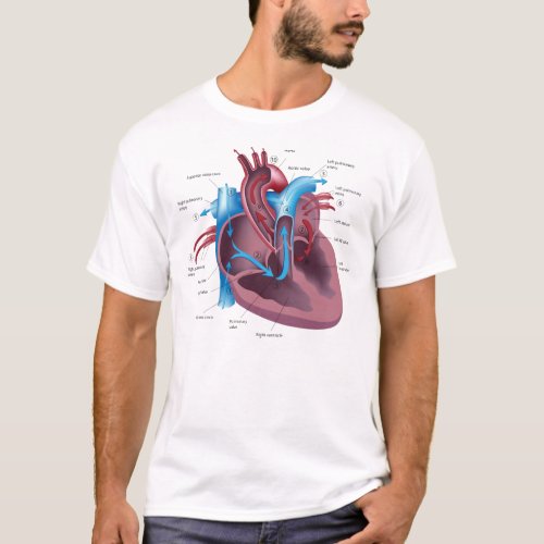 Heart Anatomy cool t_shirt