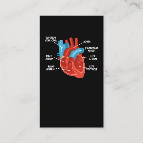 Heart Anatomy Education Cardiology Business Card