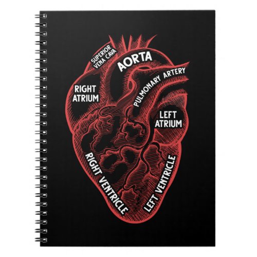 Heart Anatomy Education Cardiology Notebook