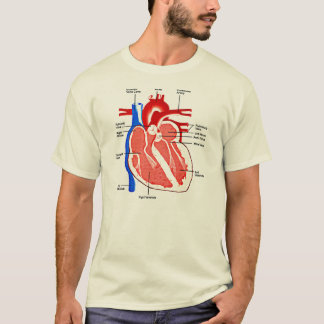 Heart Anatomy Geek T-Shirt