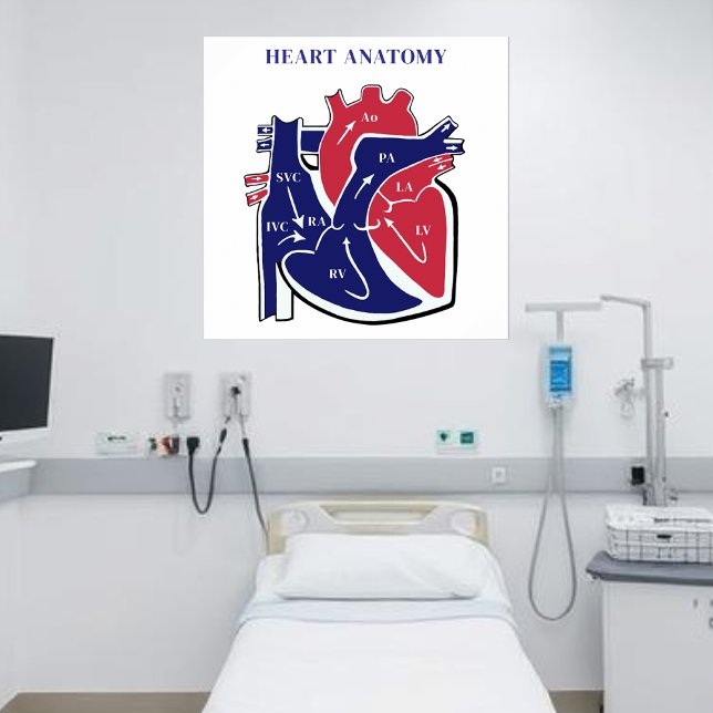 Heart Anatomy- Poster (Heart Anatomy- Poster )