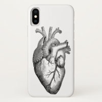 Heart Anatomy Science