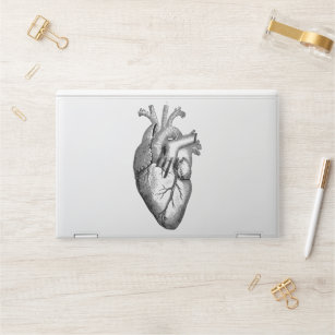 Heart Anatomy Science HP Laptop Skin