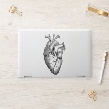 Heart Anatomy Science Hp Laptop Skin by TRowanDesign at Zazzle