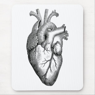 Heart Anatomy Science Mouse Pad