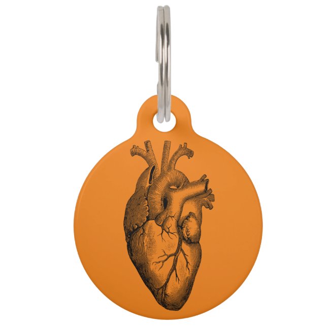 Heart Anatomy Science Orange Pet ID Tag (Front)