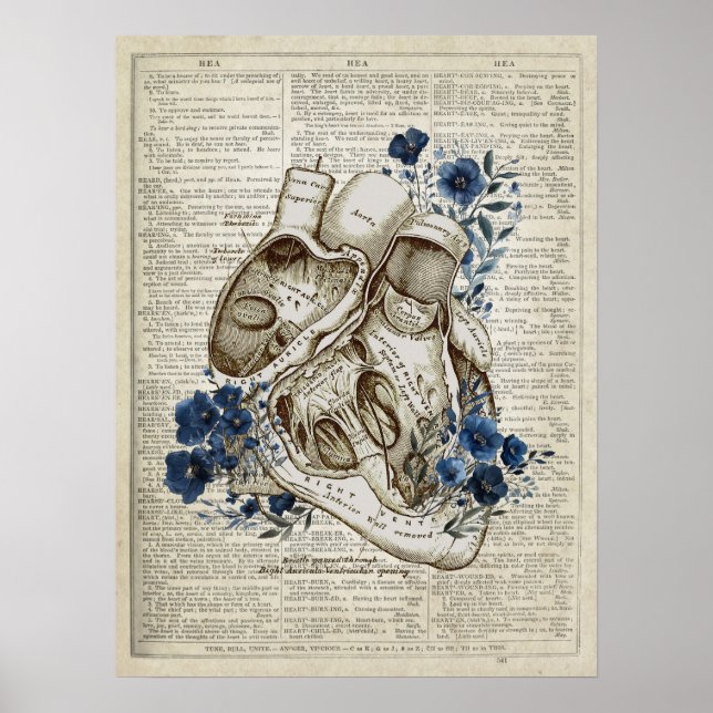 Heart Anatomy with Flowers Dictionary Art Poster (Front)